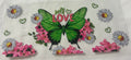 Flower/Butterflies-8