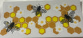 Honey-4